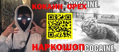 mdpv Заводоуковск