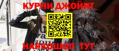 mdpv Заводоуковск