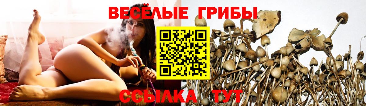 Псилоцибиновые грибы прущие грибы  Вход с VPN  Псилоцибиновые грибы мухоморы  Лабинск 